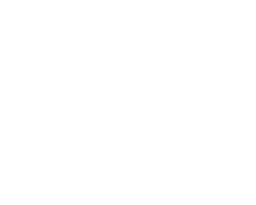 logo_blanc